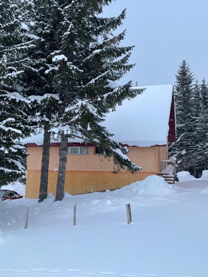 Durmitor Apartments Holiday Žabljak Buitenkant foto