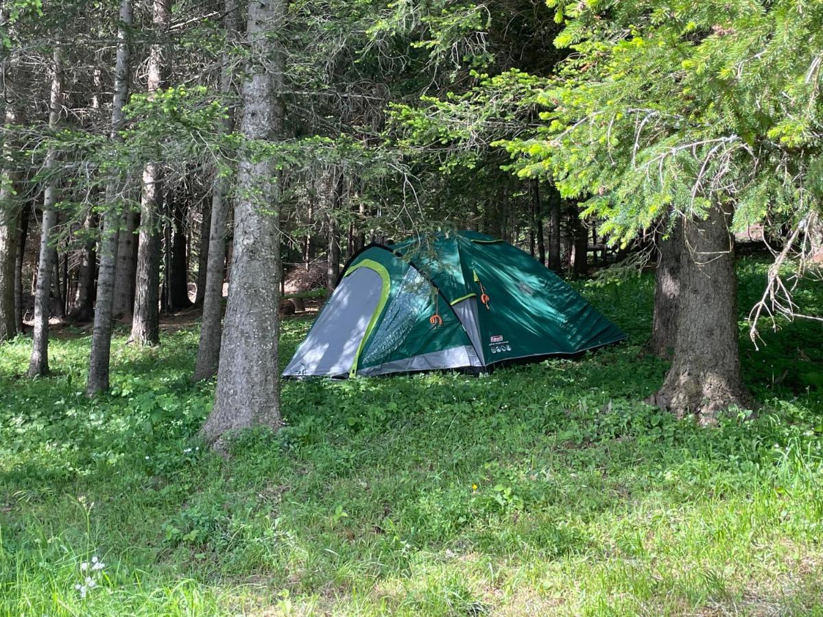 Durmitor Apartments Holiday Žabljak Buitenkant foto