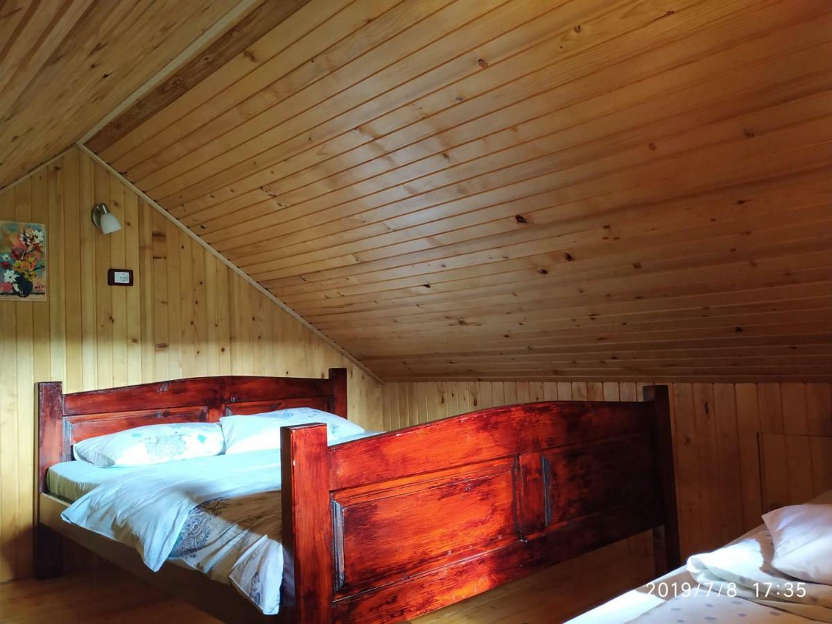 Durmitor Apartments Holiday Žabljak Buitenkant foto